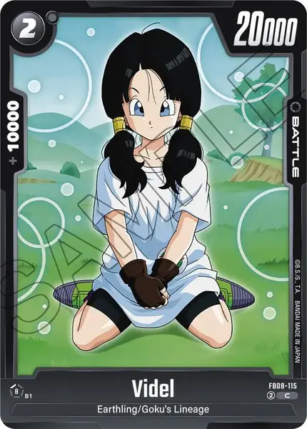 Videl - FB08-115