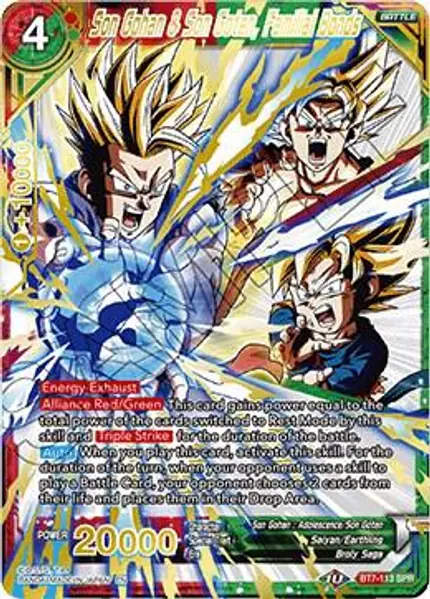 Son Gohan & Son Goten, Familial Bonds (SPR)