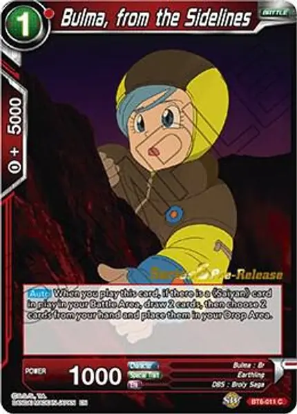 Bulma, from the Sidelines