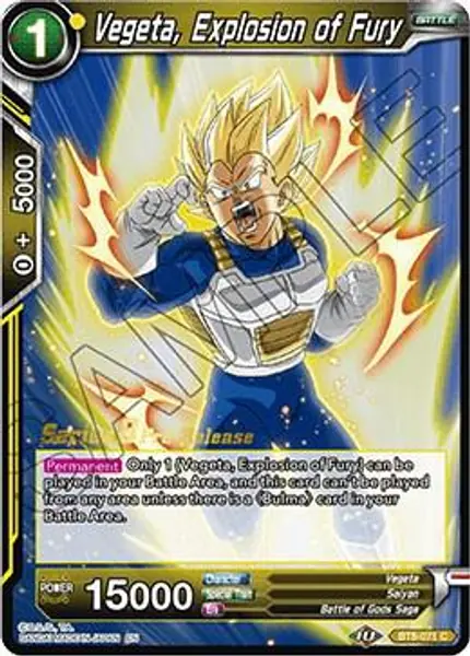 Vegeta, Explosion of Fury