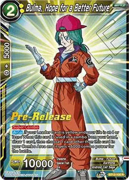 Bulma, Hope for a Better Future