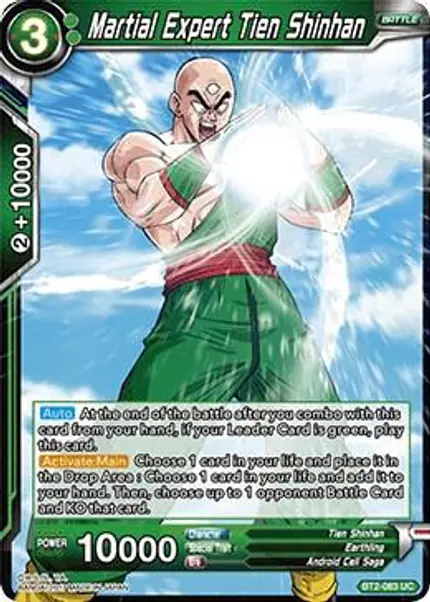 Martial Expert Tien Shinhan