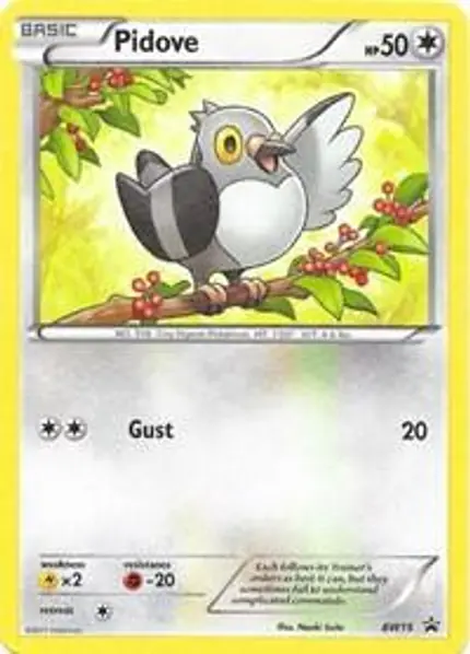 Pidove