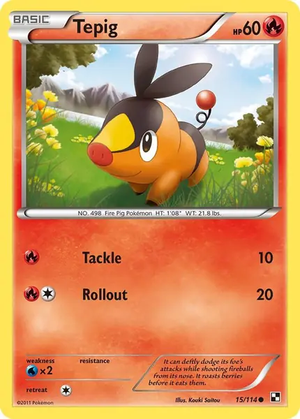 Tepig (15)