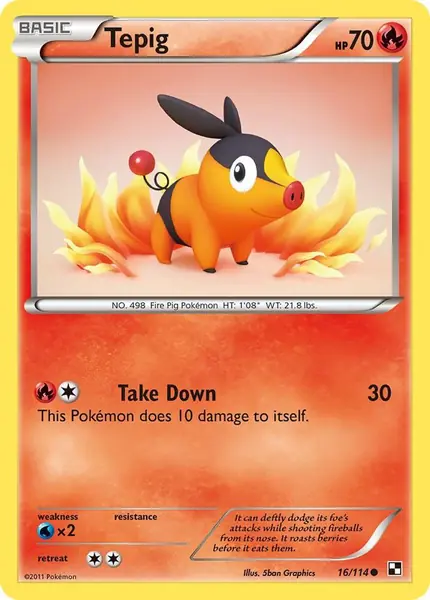 Tepig (16)