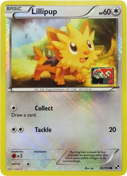 Lillipup - (League )