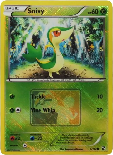 Snivy - (League )