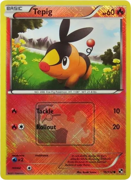 Tepig - (League )
