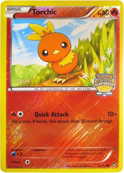 Torchic - (City Championships) [Staff]