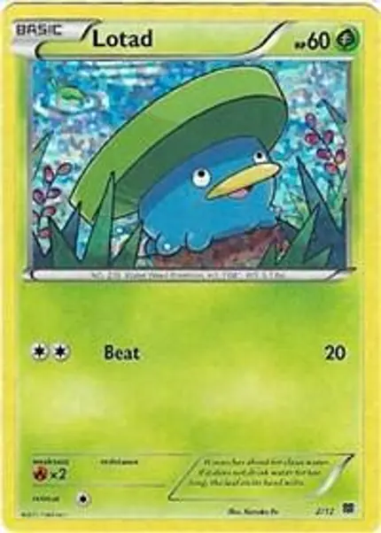Lotad - /1