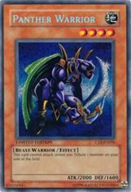 Panther Warrior