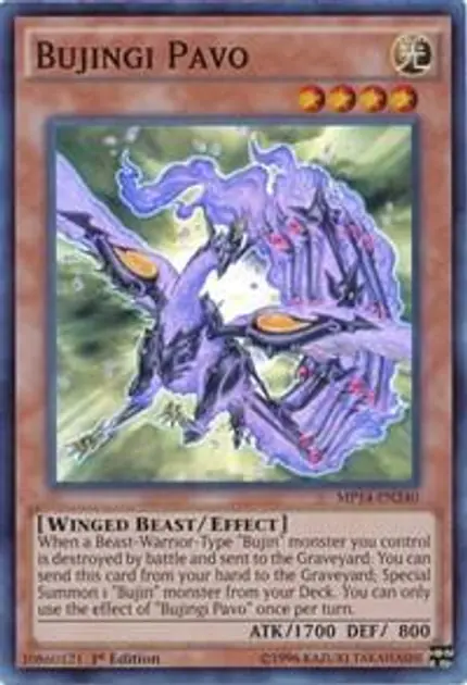 Bujingi Pavo