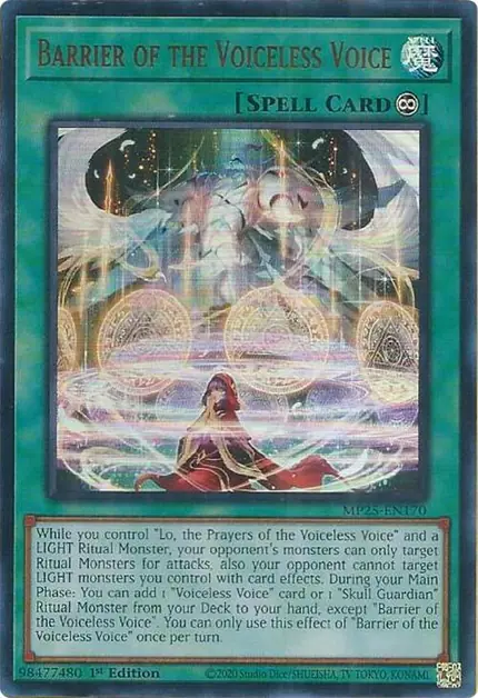 Barrier of the Voiceless Voice