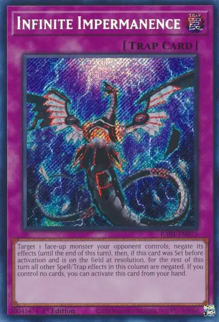 Infinite Impermanence