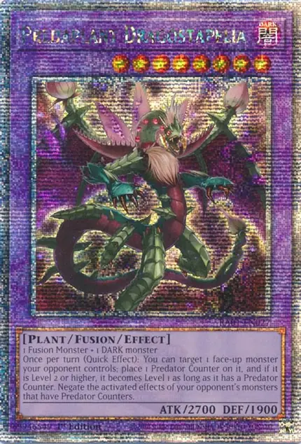 Predaplant Dragostapelia