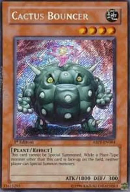 Cactus Bouncer