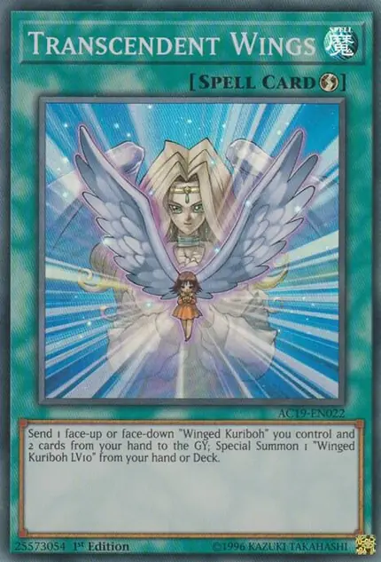 Transcendent Wings
