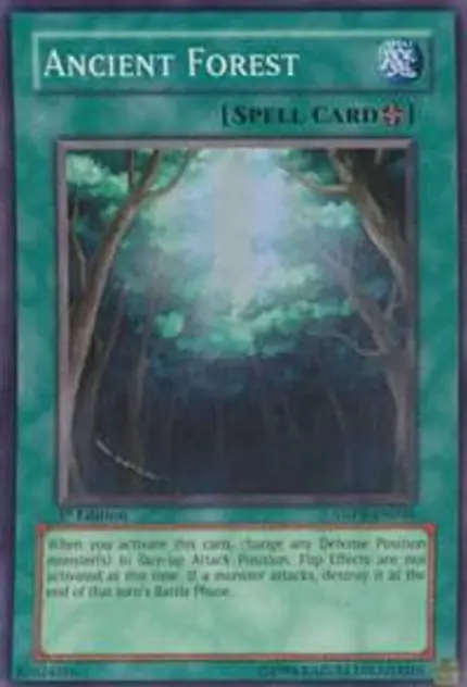 Ancient Forest