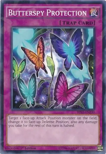 Butterspy Protection (Shatterfoil)