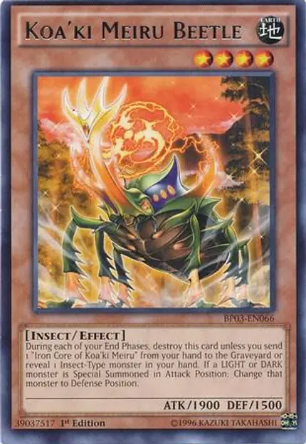 Koa'ki Meiru Beetle