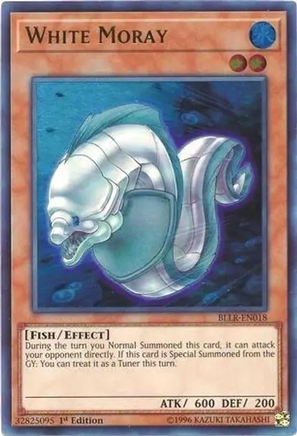 White Moray