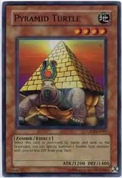 Pyramid Turtle