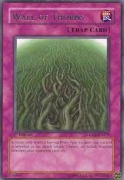 Wall of Thorns