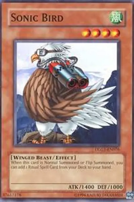 Sonic Bird