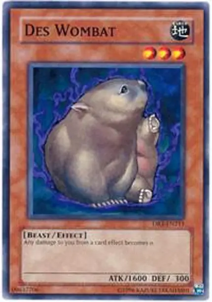 Des Wombat