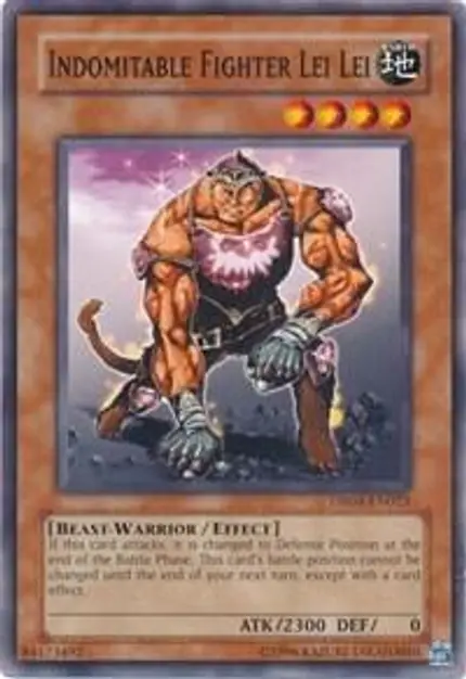 Indomitable Fighter Lei Lei