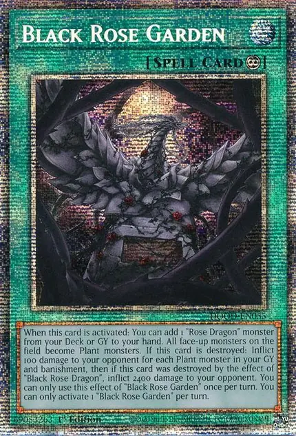 Black Rose Garden (Starlight Rare)