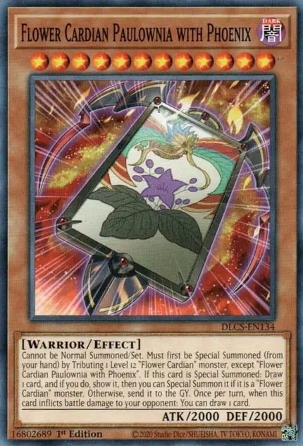 Flower Cardian Paulownia with Phoenix