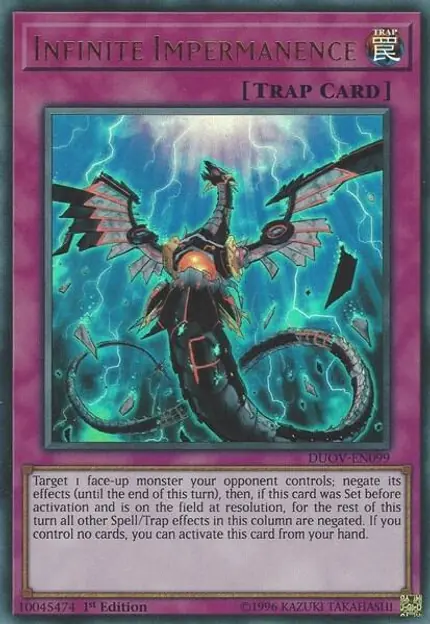 Infinite Impermanence