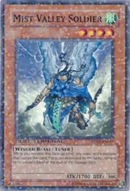 Mist Valley Soldier