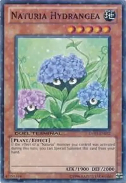 Naturia Hydrangea