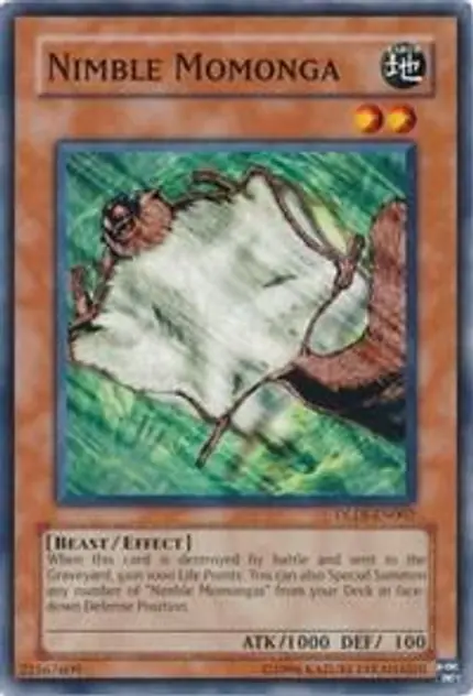 Nimble Momonga