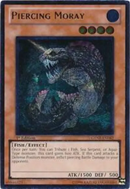 Piercing Moray (UTR)