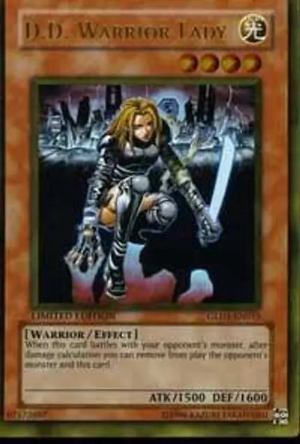 D.D. Warrior Lady