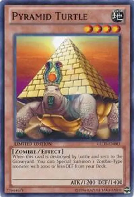 Pyramid Turtle