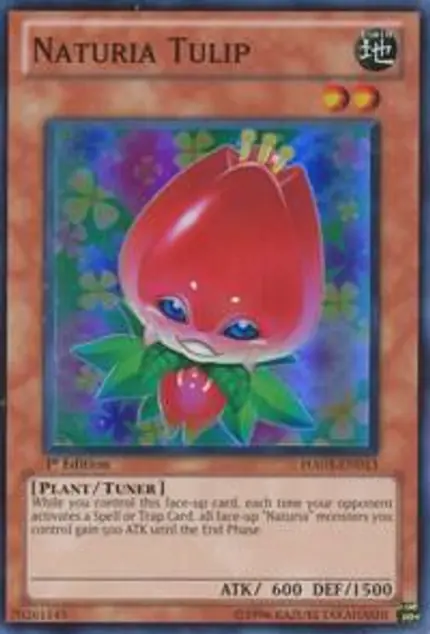Naturia Tulip