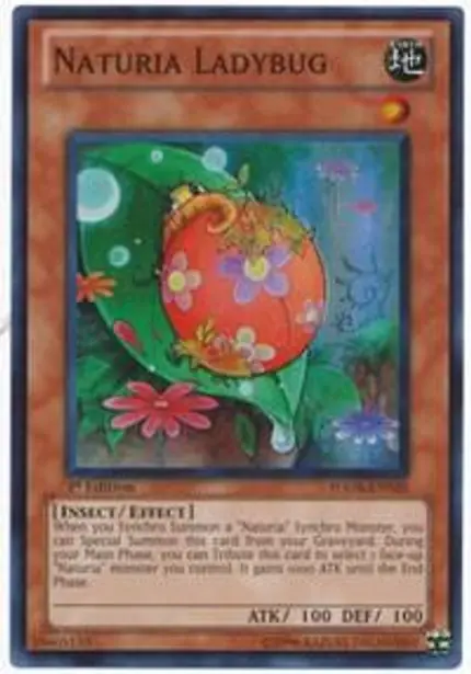 Naturia Ladybug