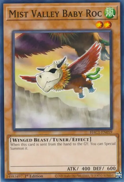 Mist Valley Baby Roc