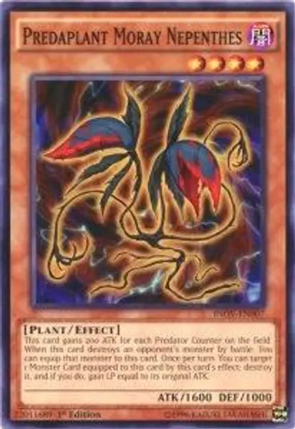 Predaplant Moray Nepenthes