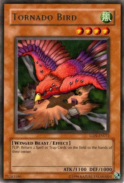 Tornado Bird