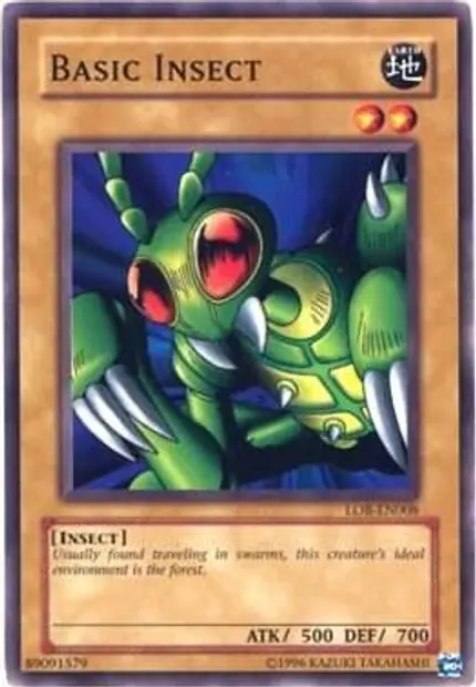 Basic Insect