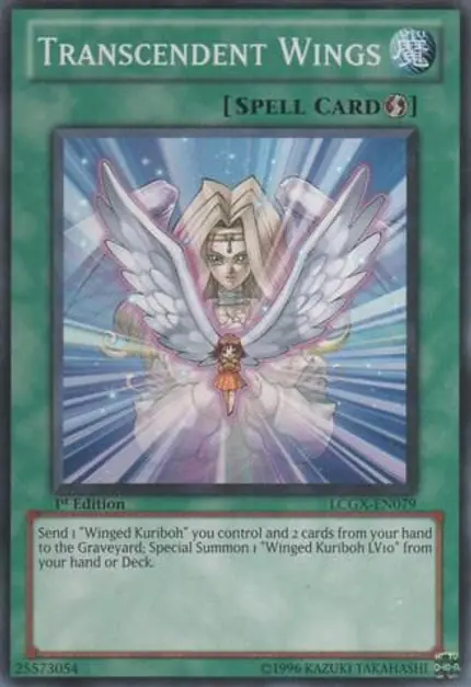 Transcendent Wings