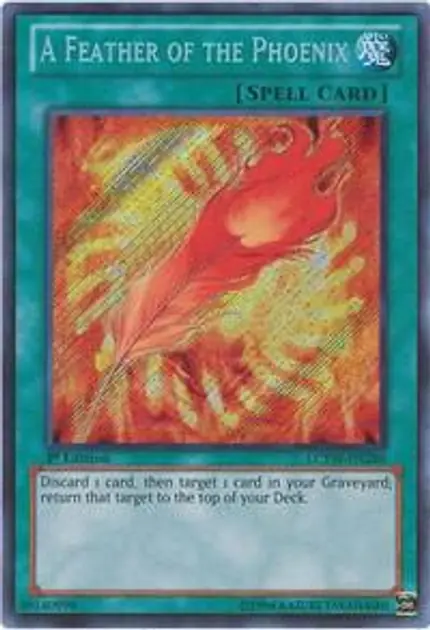 A Feather of the Phoenix