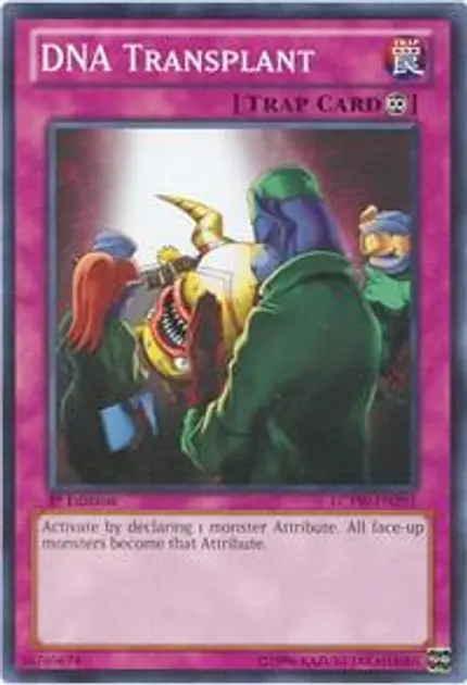 DNA Transplant