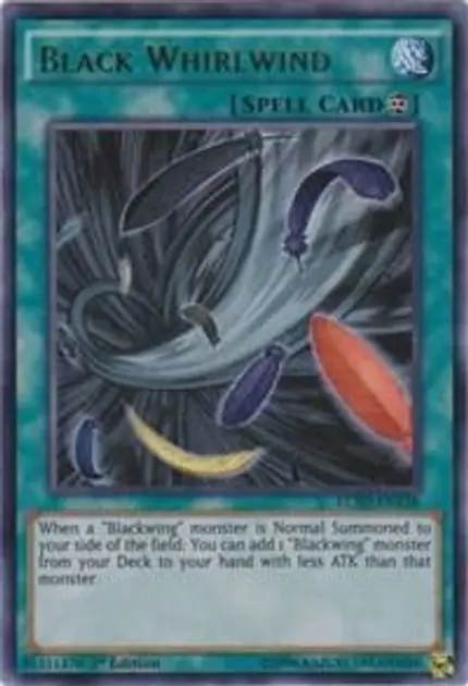 Black Whirlwind
