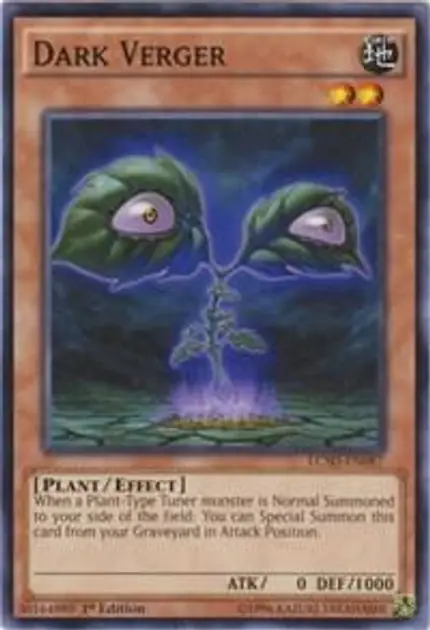 Dark Verger